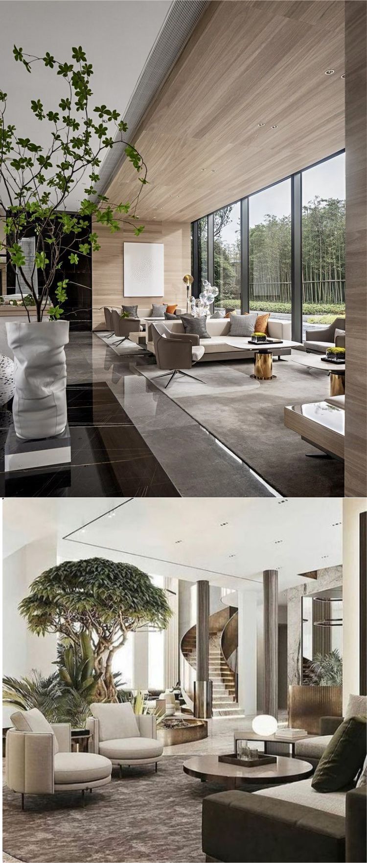 Ruang Tamu ( Livingroom ) minimalis modern dengan sentuhan tumbuhan hijau tropis 