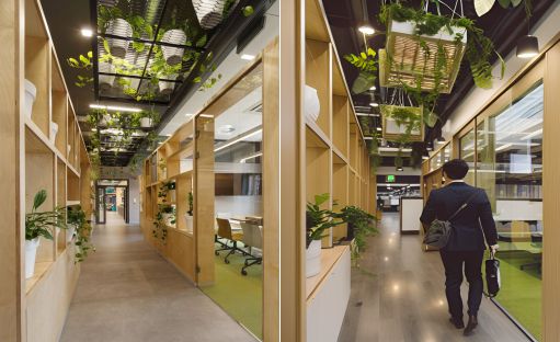 contoh gambar photo desain kantor green house minimalis  ( design interior office green house minimalist )